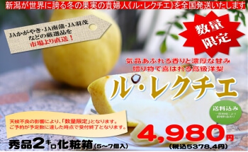 冬の果実の果物の貴婦人＜ル・レクチエ＞を全国発送いたします