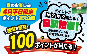 SAITOピアレマート限定 ポイントがザクザク当たる！お買物のたびに自動